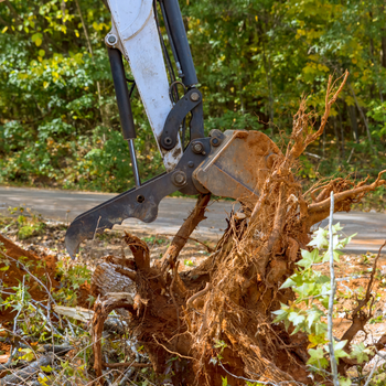 land clearing